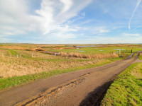 Elmley National Nature Reserve